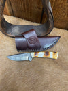 Circle SH Knives-Knives-WESTERN FASHION ACCESSORIES-Lucky J Boots & More, Women's, Men's, & Kids Western Store Located in Carthage, MO