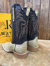 Men's R. Watson Saddle Caiman Belly Boot-Men's Boots-R. Watson-Lucky J Boots & More, Women's, Men's, & Kids Western Store Located in Carthage, MO
