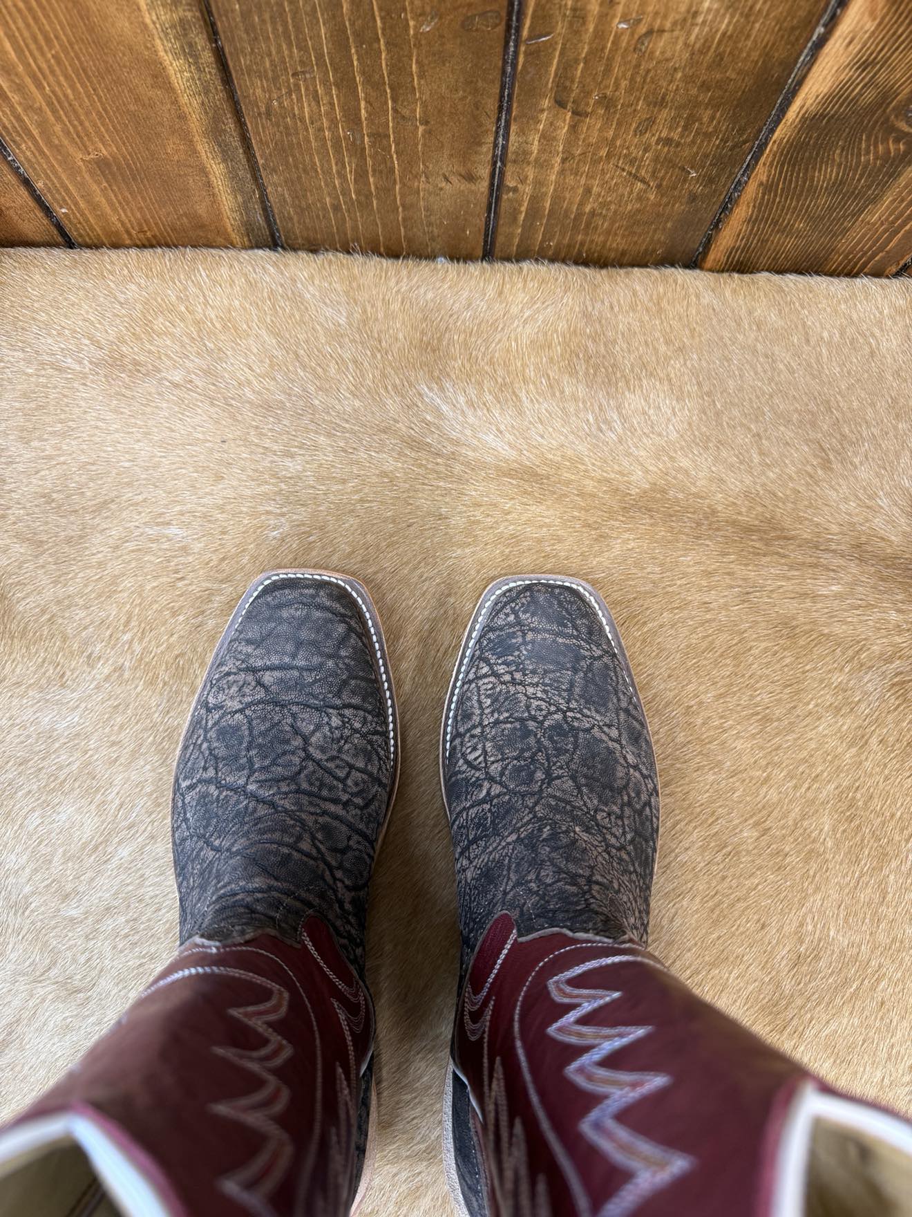 Women's Anderson Bean Chestnut Safari Elephant Boot-Women's Boots-Anderson Bean-Lucky J Boots & More, Women's, Men's, & Kids Western Store Located in Carthage, MO