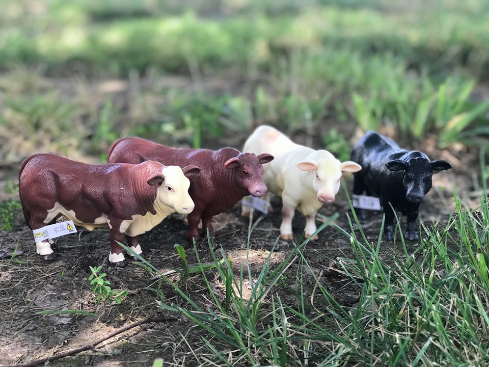 Little Buster Bull Kids Farm Toys