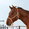 Halter Rope Nose Band W/ Lead-HALTER-Equibrand-Lucky J Boots & More, Women's, Men's, & Kids Western Store Located in Carthage, MO