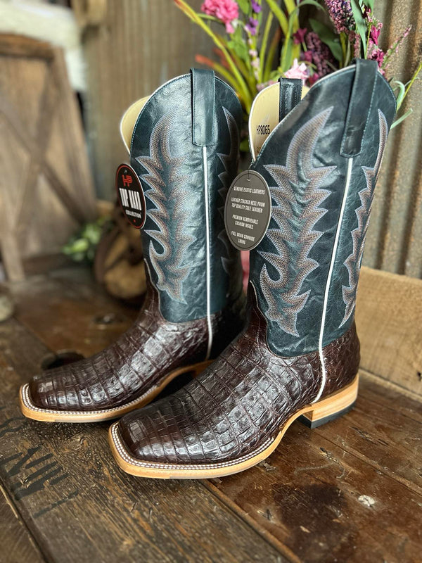 Mens Horse Power Brown Caimen Bell and Navy Explosion Boots-Men's Boots-Anderson Bean-Lucky J Boots & More, Women's, Men's, & Kids Western Store Located in Carthage, MO