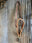 Leather Noseband