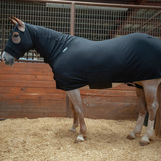 Classic Equine Full Body Slinky
