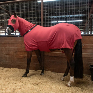 Classic Equine Full Body Slinky