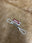 5 Link Dog Chain Adjustable