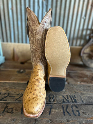 Fenoglio Full Quill Umber Bruciato Ostrich Boot-Men's Boots-Fenoglio Boots-Lucky J Boots & More, Women's, Men's, & Kids Western Store Located in Carthage, MO