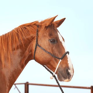 Halter Rope Nose Band W/ Lead-Halter-Equibrand-Lucky J Boots & More, Women's, Men's, & Kids Western Store Located in Carthage, MO