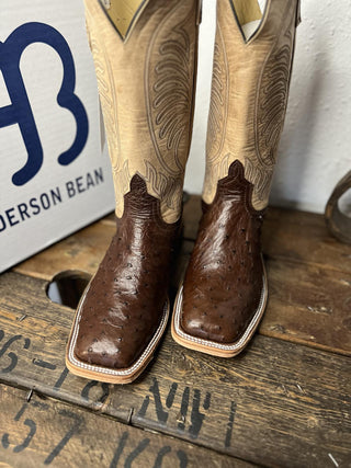 Men's Anderson Bean Cafe Americano FQ Ostrich Boot-Men's Boots-Anderson Bean-Lucky J Boots & More, Women's, Men's, & Kids Western Store Located in Carthage, MO