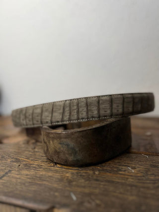 R. Watson Charcoal Caiman Belt-Belts-R. Watson-Lucky J Boots & More, Women's, Men's, & Kids Western Store Located in Carthage, MO