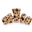 Blonde Tortoise