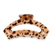 Blonde Tortoise