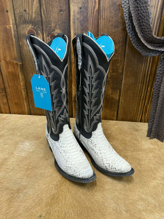 Women's Lane Skylight Headliner in Black Boot-Women's Boots-Lane Boots-Lucky J Boots & More, Women's, Men's, & Kids Western Store Located in Carthage, MO
