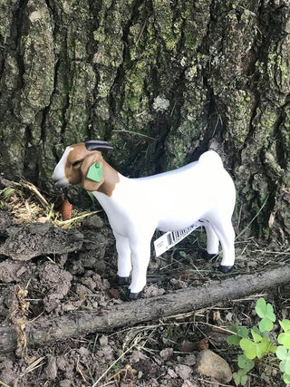 Grand Champion Boer Doe-Toys-Little Buster Toys-Lucky J Boots & More, Women's, Men's, & Kids Western Store Located in Carthage, MO