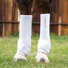 Iconoclast Tall Hinds-Splint Boots-Iconoclast-Lucky J Boots & More, Women's, Men's, & Kids Western Store Located in Carthage, MO