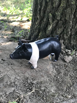 Show Hogs-Toys-Little Buster Toys-Lucky J Boots & More, Women's, Men's, & Kids Western Store Located in Carthage, MO